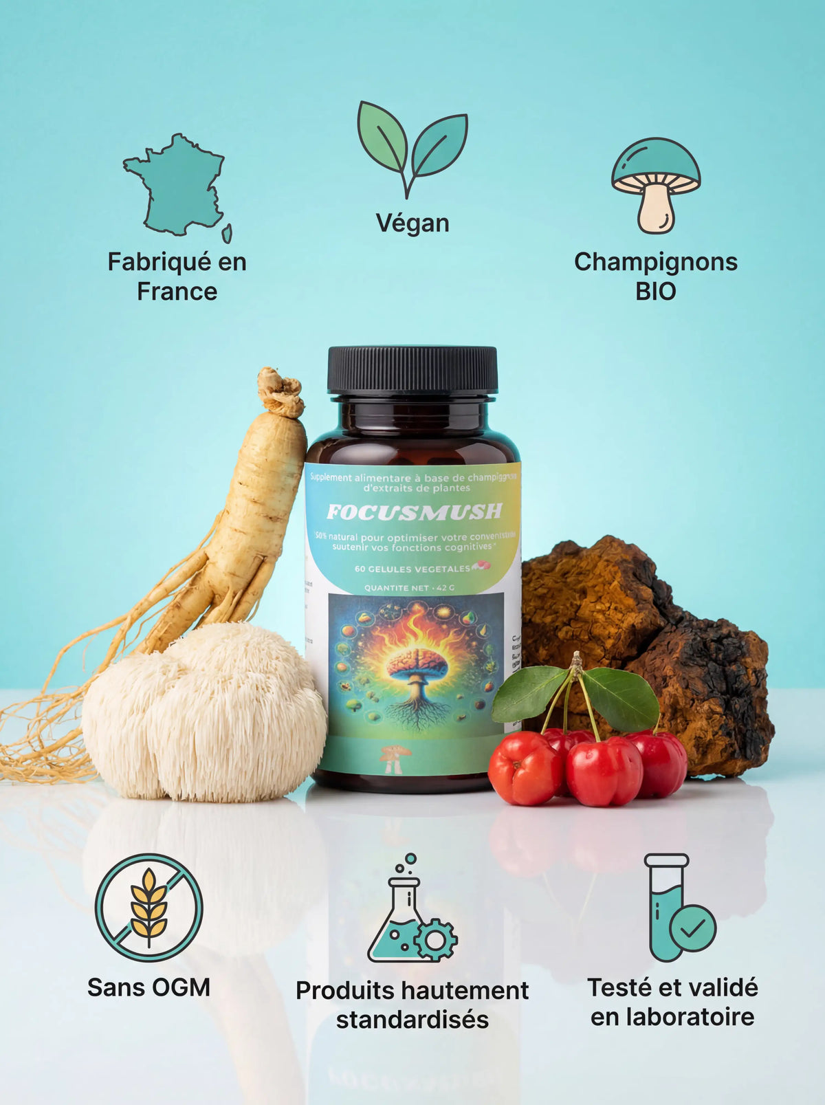 Badges de certification FocusMush : fabriqué en France, végan, champignons bio, sans OGM, testé en laboratoire