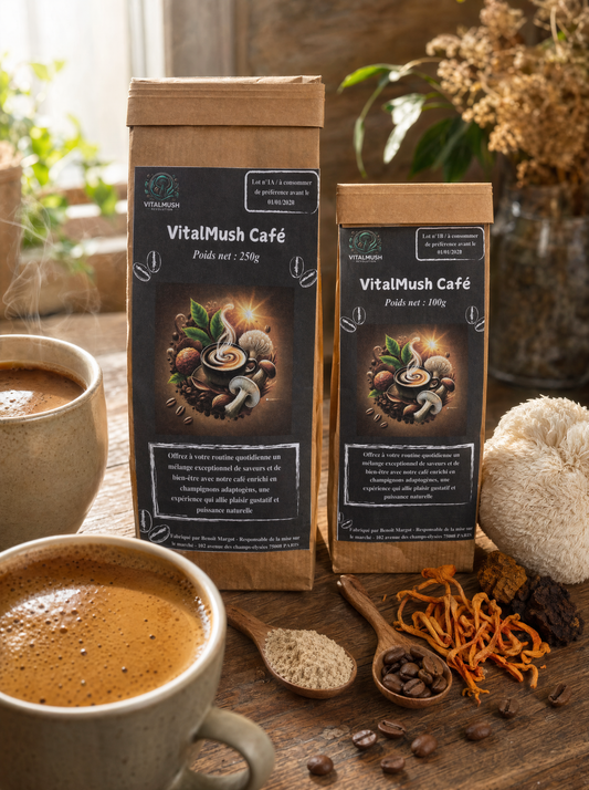Café aux champignons adaptogènes VitalMush vs café classique