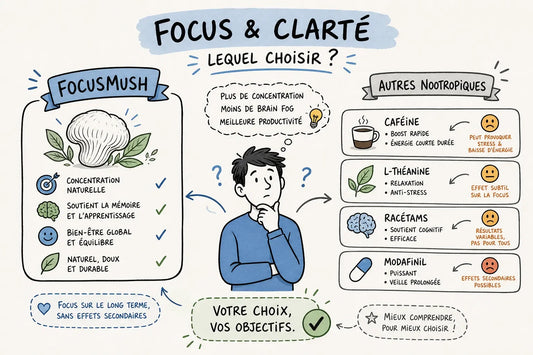 FocusMush face aux autres nootropiques : lequel choisir ?