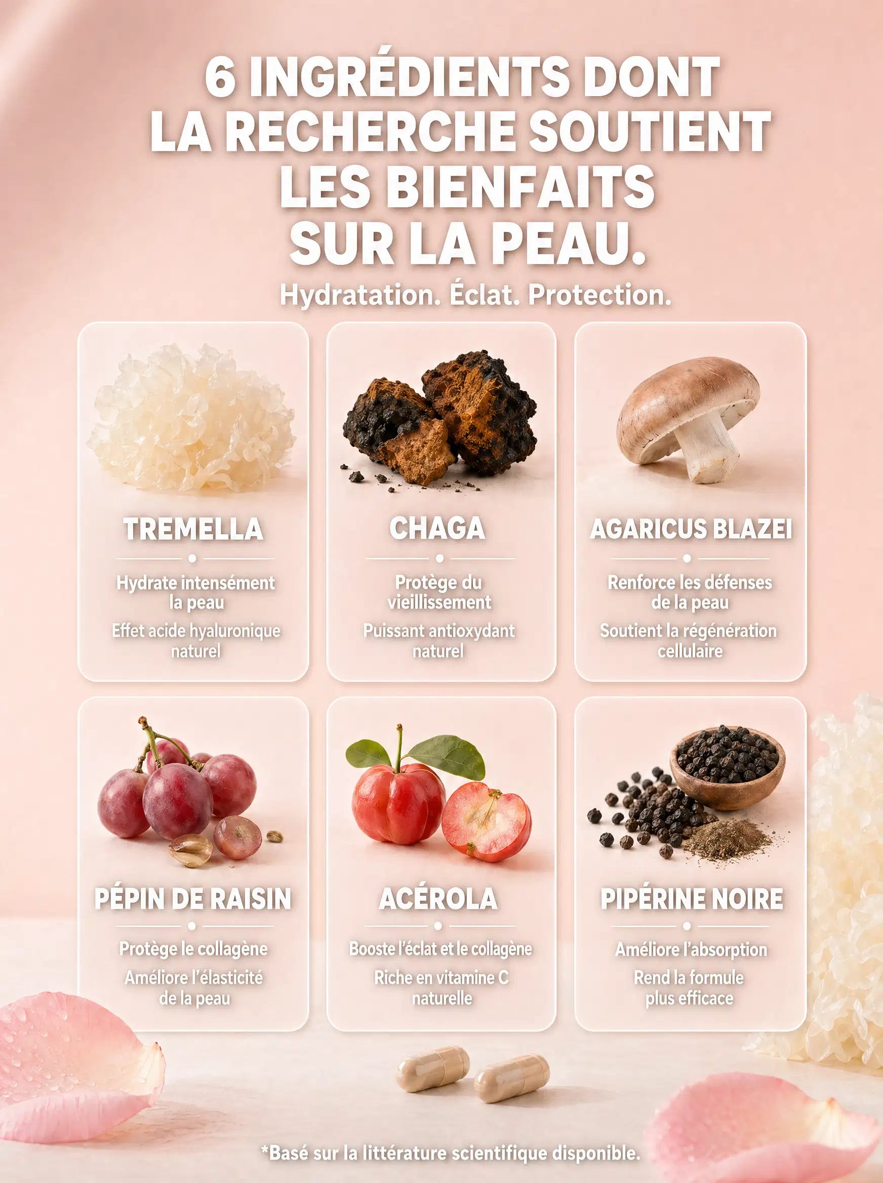 Grille des 6 ingrédients de GlowMush : Tremella, Chaga, Agaricus Blazei, pépin de raisin, acérola, pipérine noire