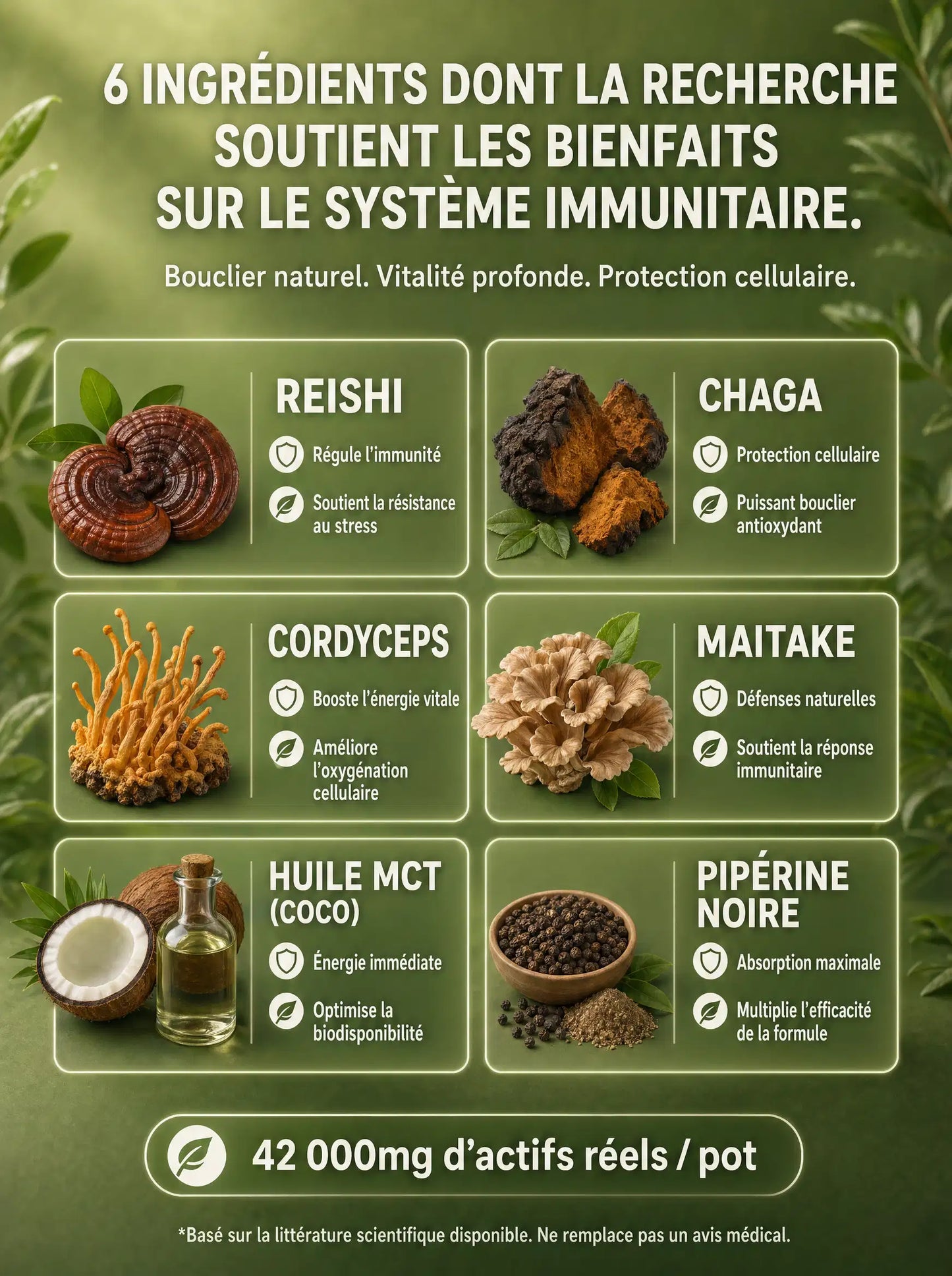 Grille des 6 ingrédients d'ImmunityMush : Reishi, Chaga, Maitake et autres actifs
