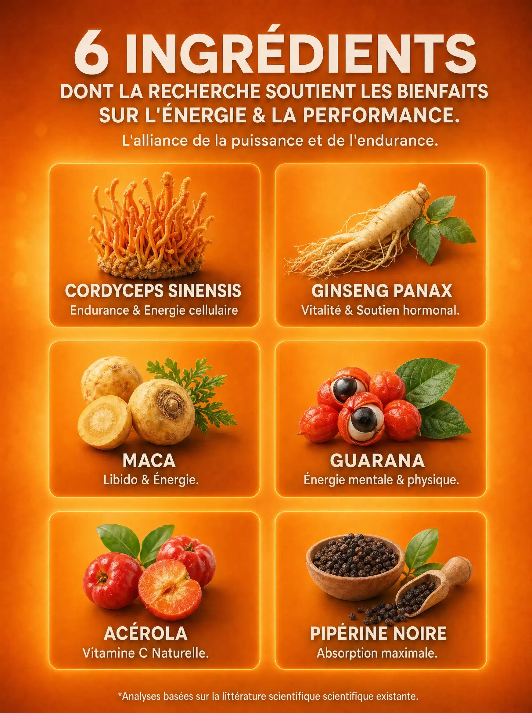 Grille des 6 ingrédients de PowerMush : Cordyceps, Guarana, Ginseng et autres actifs