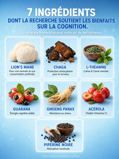 Grille des 7 ingrédients de FocusMush : Lion's Mane, L-Théanine, Ginseng Panax et autres actifs