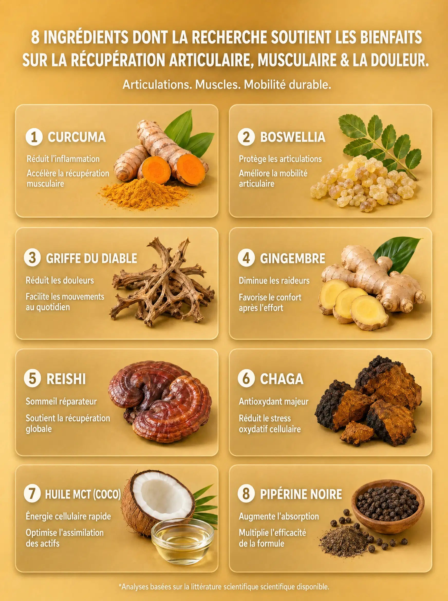 Grille des 8 ingrédients de ComfortMush : Curcuma, Griffe du Diable, Boswellia et autres actifs