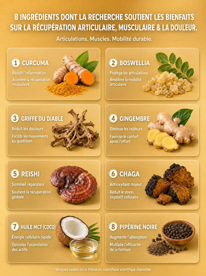 Grille des 8 ingrédients de ComfortMush : Curcuma, Griffe du Diable, Boswellia et autres actifs