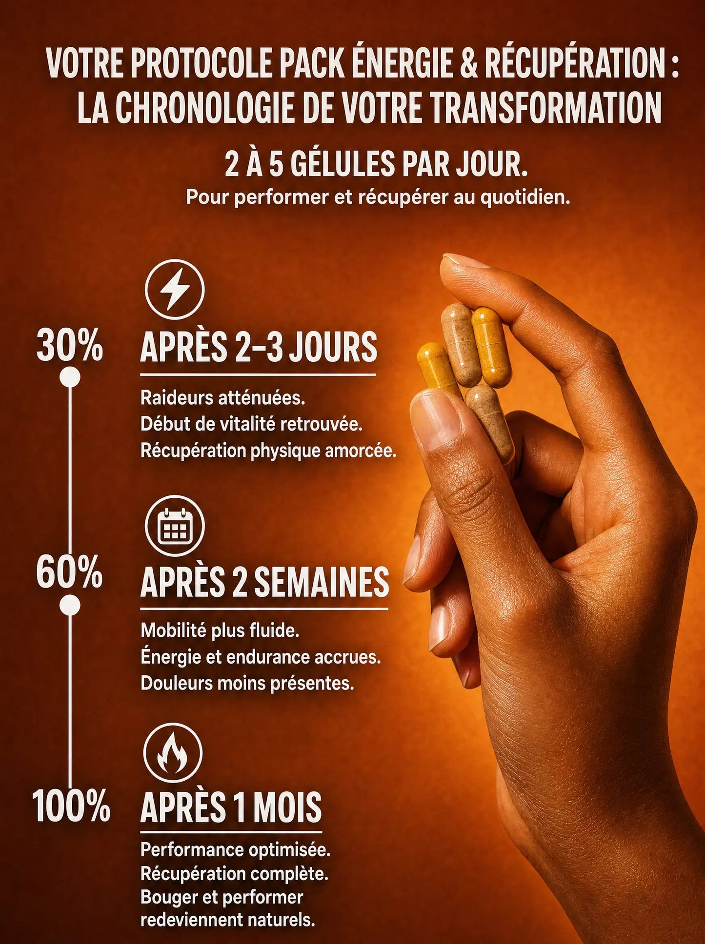 Chronologie du protocole Pack Énergie & Récupération : résultats à 2-3 jours, 2 semaines et 1 mois