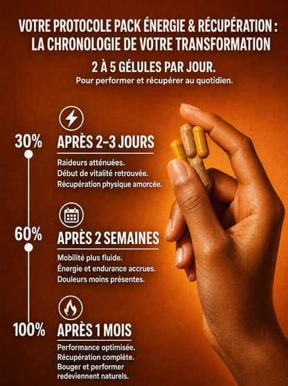 Chronologie du protocole Pack Énergie & Récupération : résultats à 2-3 jours, 2 semaines et 1 mois