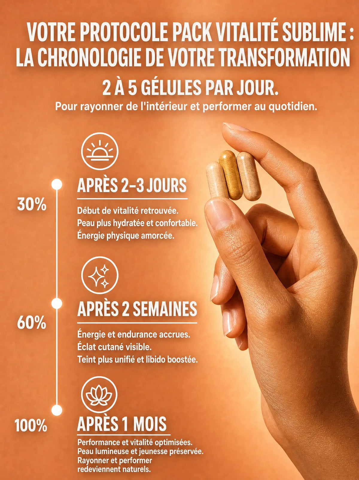 Chronologie du protocole Pack Vitalité Sublime : résultats à 2-3 jours, 2 semaines et 1 mois