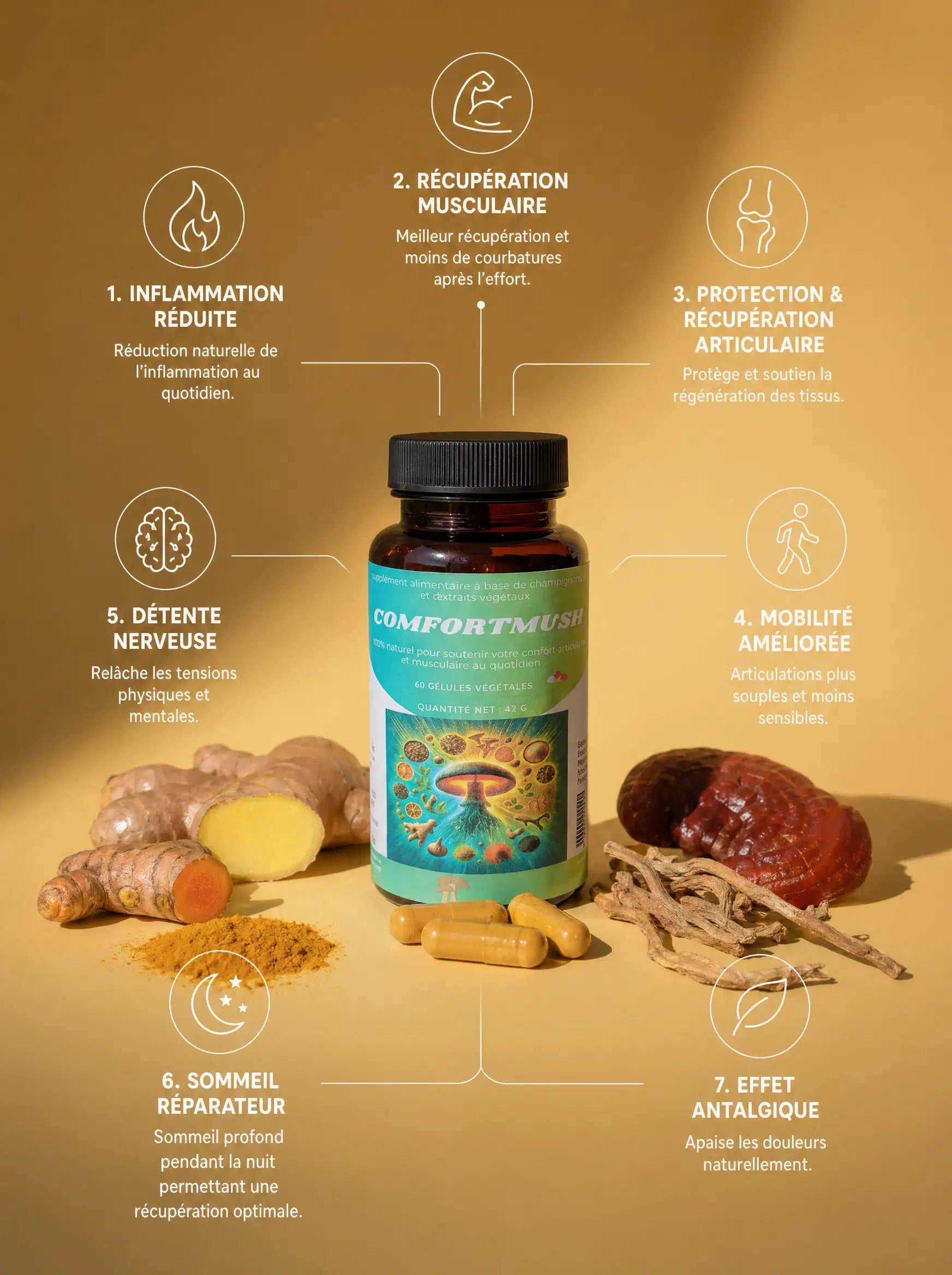 Infographie des bienfaits de ComfortMush sur les articulations et la récupération
