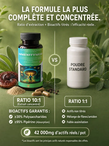 Comparaison du ratio d'extraction d'ImmunityMush avec une poudre standard