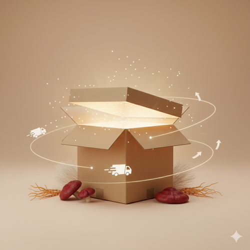 Livraison Offerte 🎁