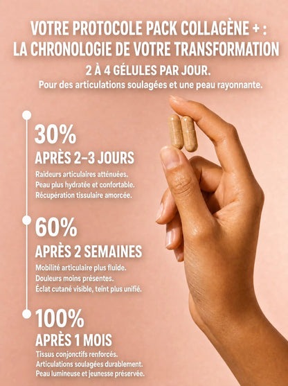 Chronologie du protocole Pack Collagène+ : résultats à 2-3 jours, 2 semaines et 1 mois, pour les articulations et la peau