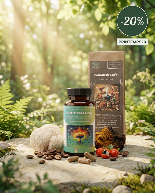 Pack Découverte Focus & Anti-Stress 🧠🧘‍♀️