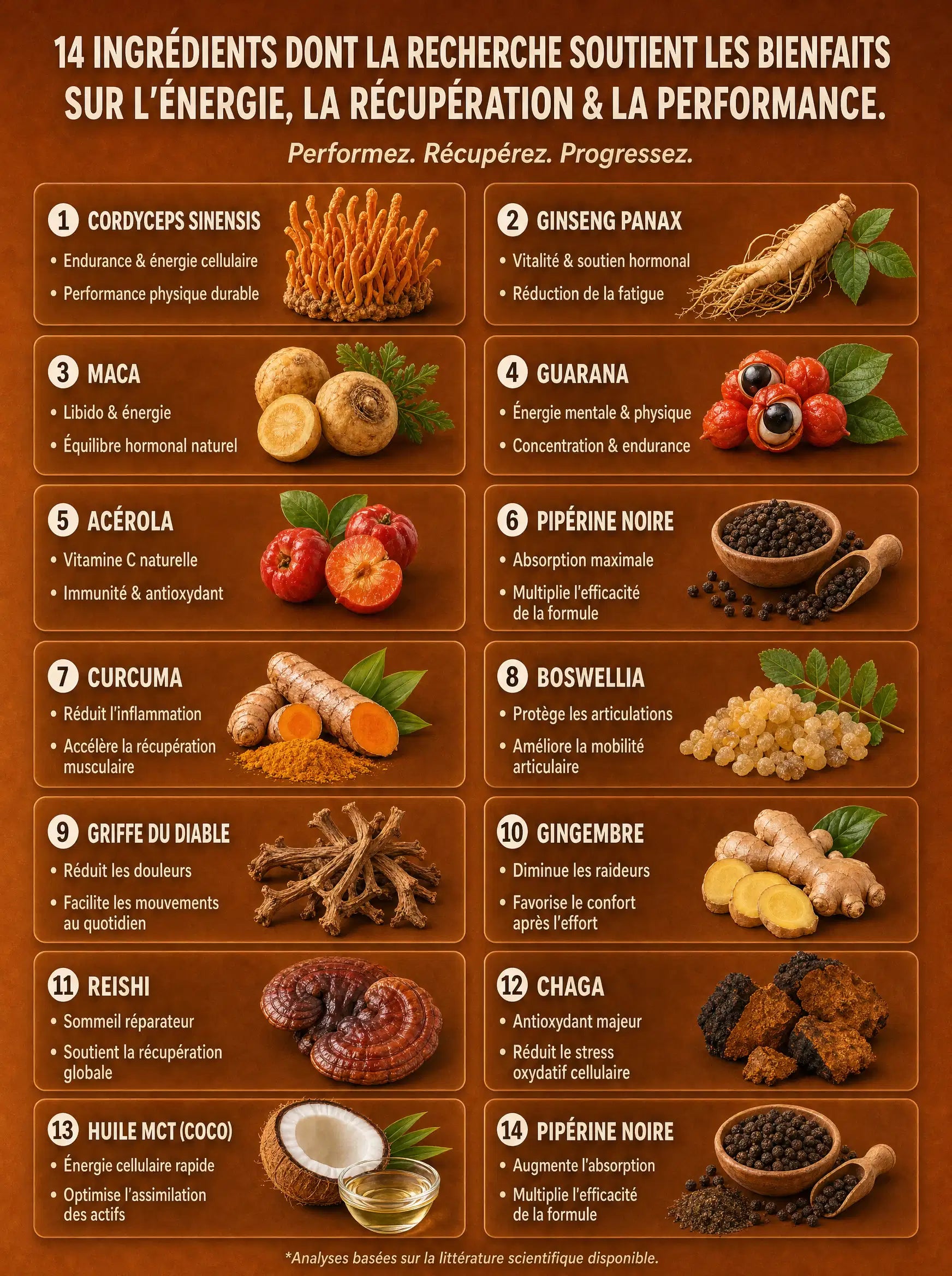 Grille des 14 ingrédients du Pack Énergie & Récupération : Cordyceps, Ginseng Panax, Maca, Guarana, Acérola, Pipérine, Curcuma, Boswellia, Griffe du Diable, Gingembre, Reishi, Chaga, Huile MCT et autres actifs