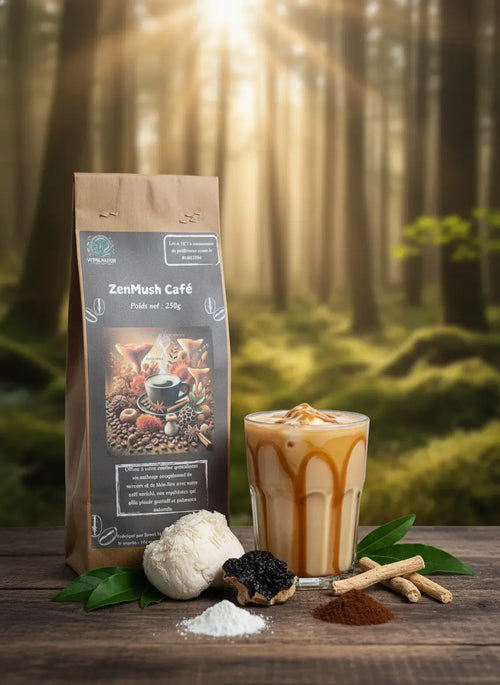 ZenMush Café 🧘‍♀️☕