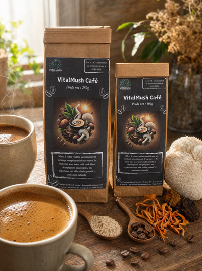 Vitalmush Café 🔥