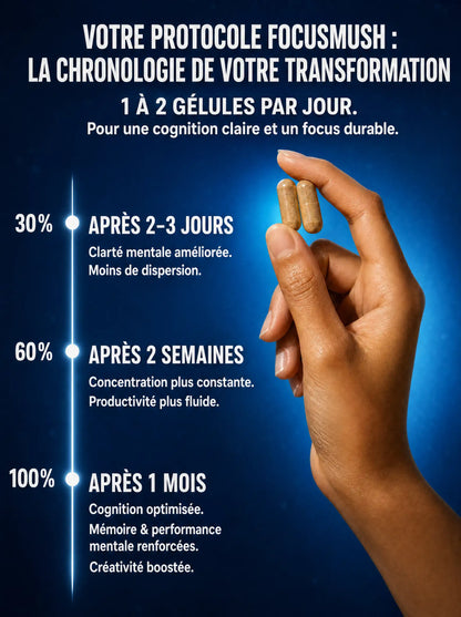 Chronologie du protocole FocusMush : résultats à 2-3 jours, 2 semaines et 1 mois