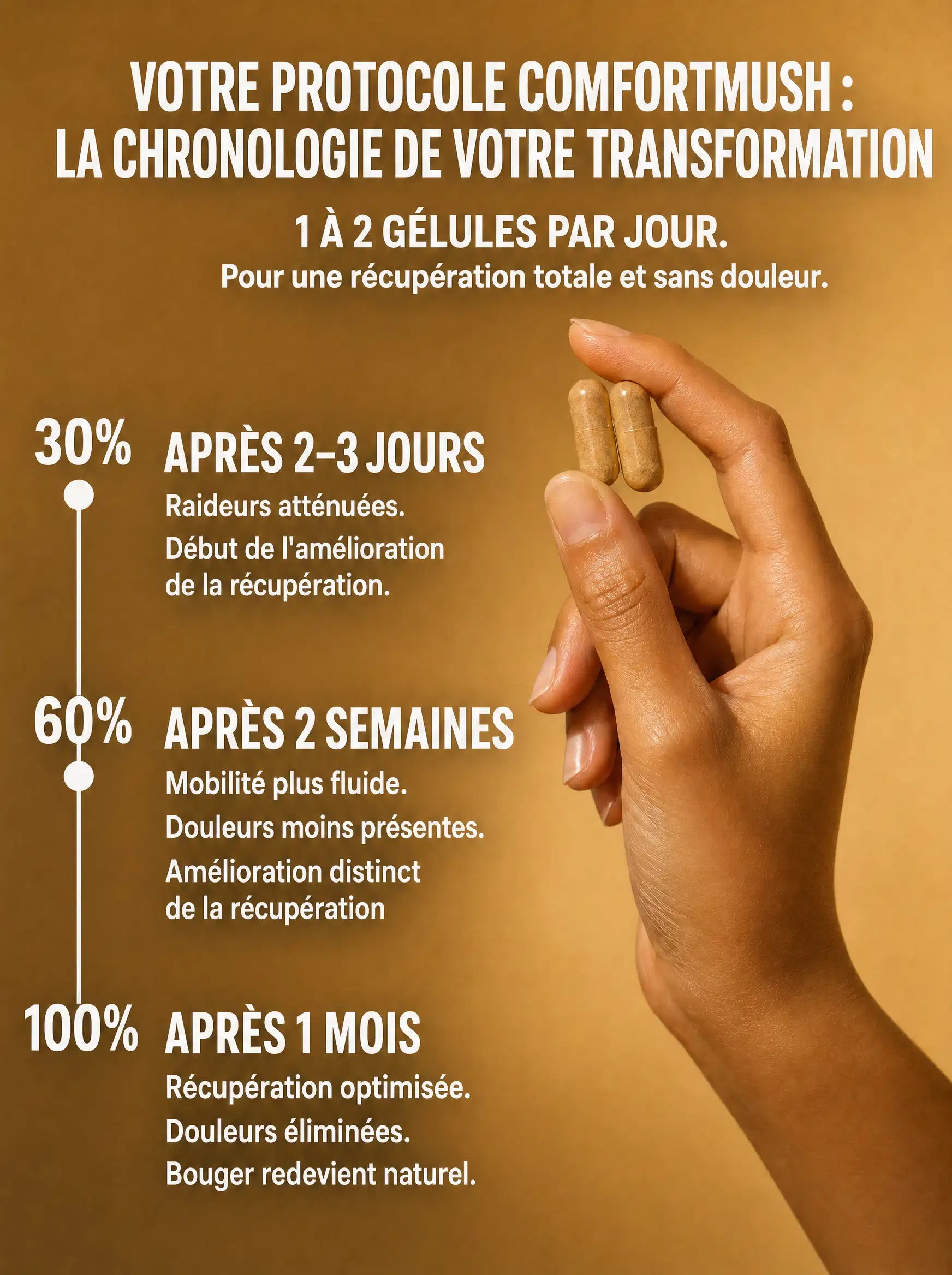 Chronologie du protocole ComfortMush : résultats à 2-3 jours, 2 semaines et 1 mois