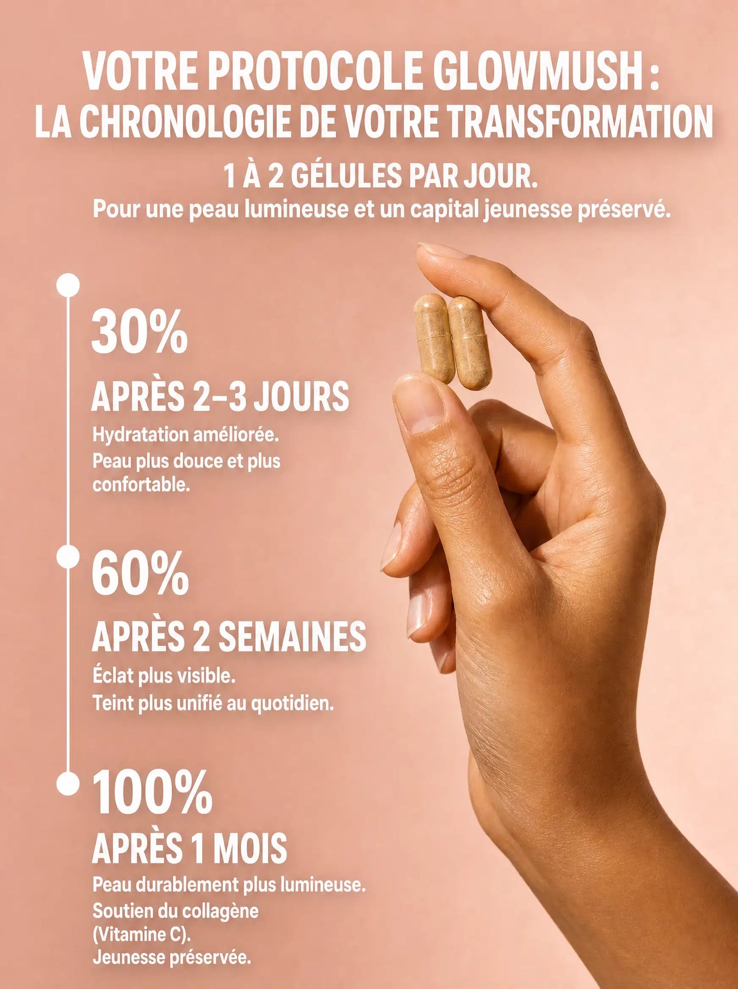 Chronologie du protocole GlowMush : résultats à 2-3 jours, 2 semaines et 1 mois