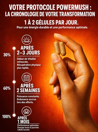 Chronologie du protocole PowerMush : résultats à 2-3 jours, 2 semaines et 1 mois