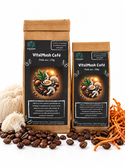 VitalMush Café