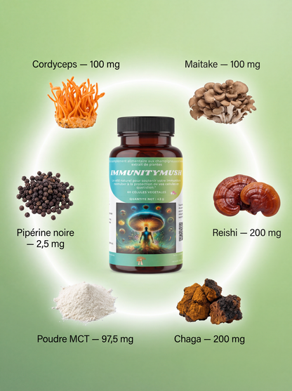 ImmunityMush 🛡🧬