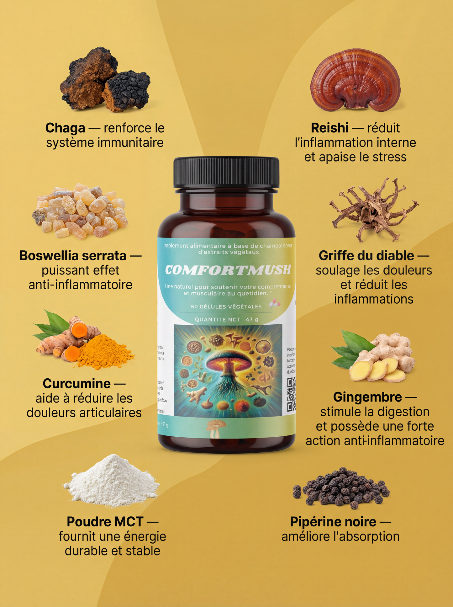 ComfortMush 💪🦴