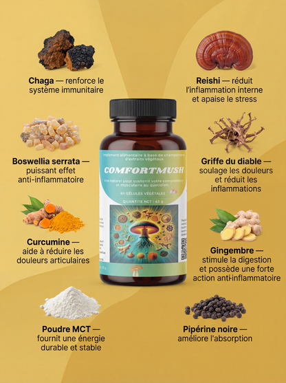 ComfortMush 💪🦴