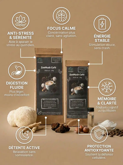 Infographie des bienfaits de ZenMush Café : anti-stress, focus calme, énergie stable, digestion fluide, mémoire et clarté, protection antioxydante, détente active