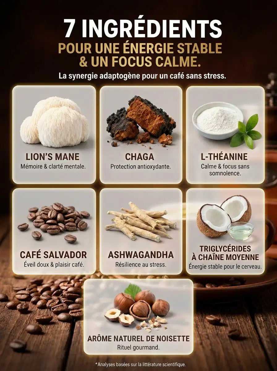 Grille des 7 ingrédients de ZenMush Café : Lion's Mane, Chaga, L-Théanine, café Salvador, Ashwagandha, triglycérides à chaîne moyenne, arôme de noisette