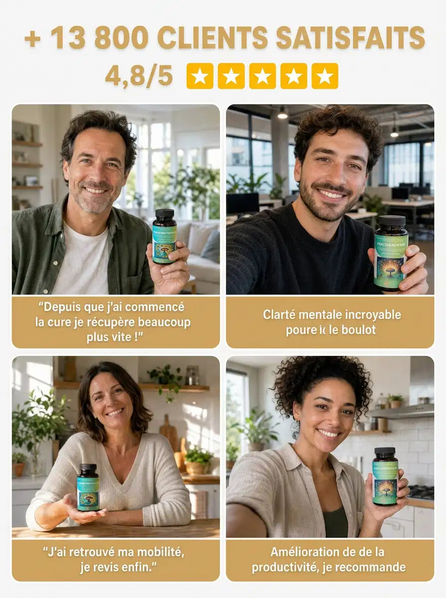 Témoignages de 4 clients satisfaits de FocusMush, note moyenne 4,8/5