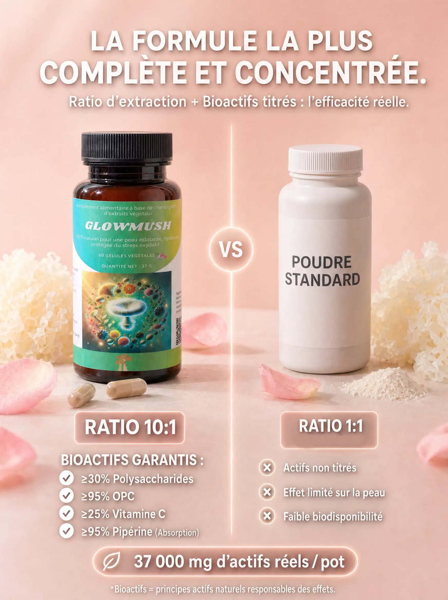 Comparaison du ratio d'extraction de GlowMush (10:1, bioactifs titrés) avec une poudre standard (1:1)