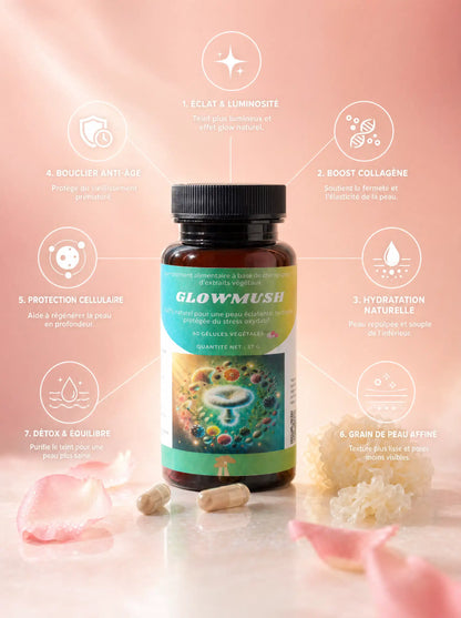 Infographie des 7 bienfaits de GlowMush : éclat et luminosité, boost collagène, hydratation naturelle, bouclier anti-âge, protection cellulaire, grain de peau affiné, détox et équilibre
